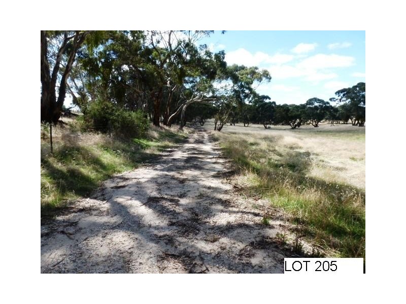 * Lot 206 Scobie Road, Clare SA 5453
