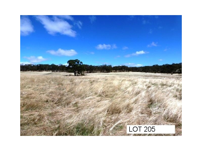 * Lot 206 Scobie Road, Clare SA 5453
