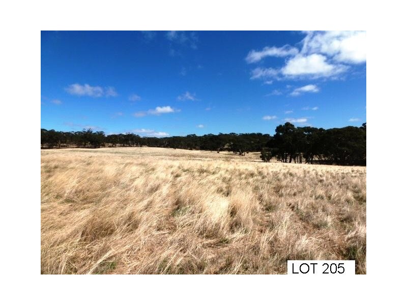 * Lot 206 Scobie Road, Clare SA 5453