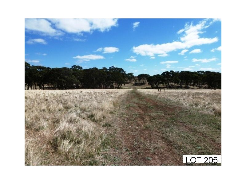 * Lot 206 Scobie Road, Clare SA 5453