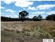 * Lot 206 Scobie Road, Clare SA 5453