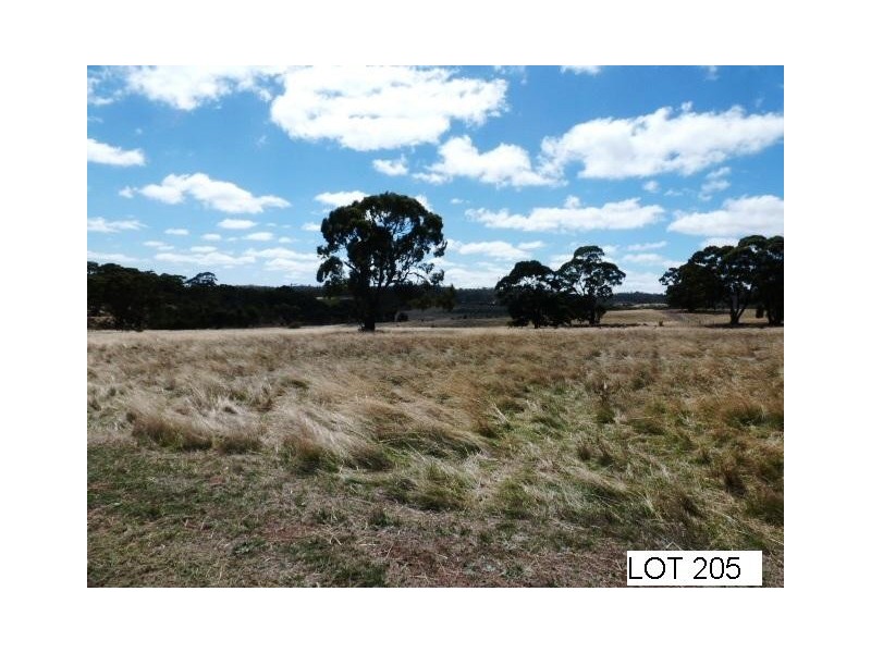 * Lot 206 Scobie Road, Clare SA 5453
