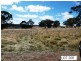 * Lot 206 Scobie Road, Clare SA 5453