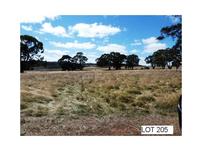 * Lot 206 Scobie Road, Clare SA 5453