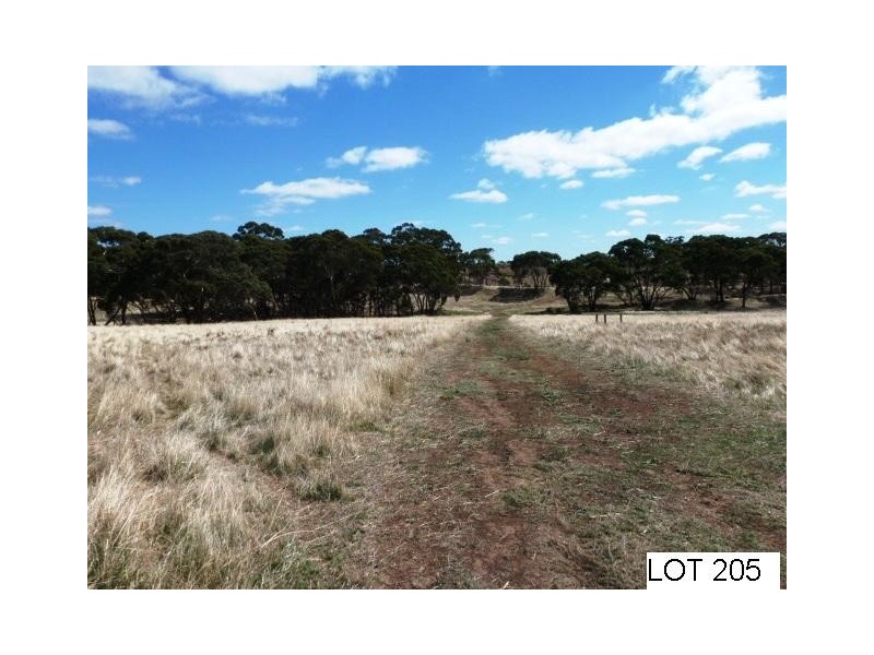 * Lot 206 Scobie Road, Clare SA 5453