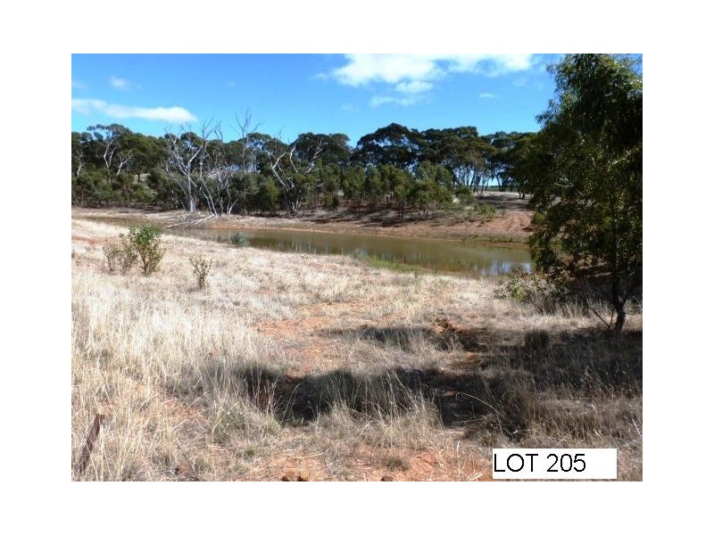 * Lot 206 Scobie Road, Clare SA 5453