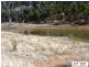 * Lot 206 Scobie Road, Clare SA 5453
