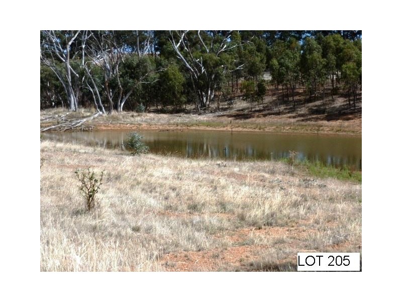 * Lot 206 Scobie Road, Clare SA 5453