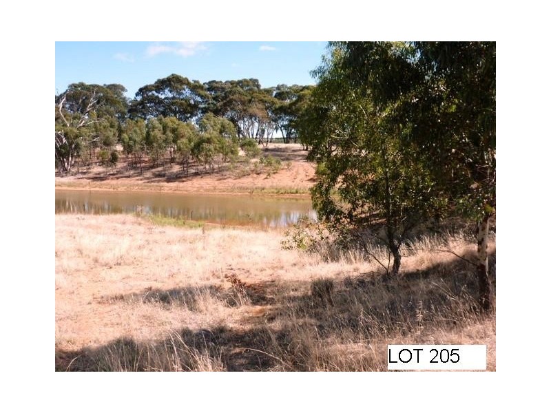 * Lot 206 Scobie Road, Clare SA 5453