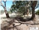 * Lot 206 Scobie Road, Clare SA 5453