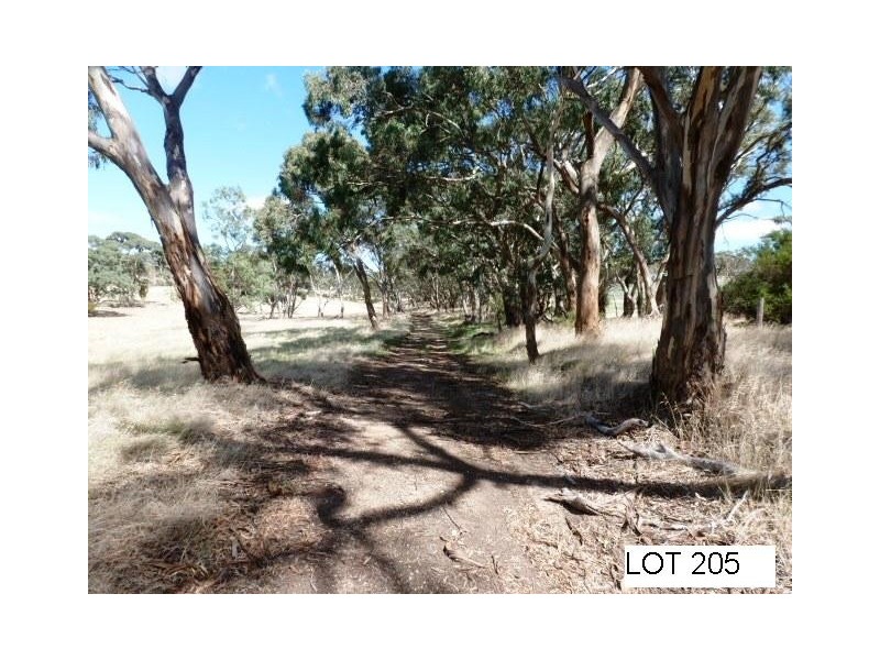 * Lot 206 Scobie Road, Clare SA 5453