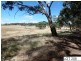 * Lot 206 Scobie Road, Clare SA 5453