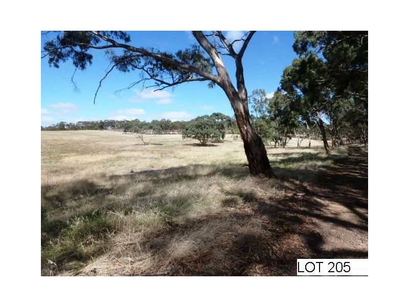 * Lot 206 Scobie Road, Clare SA 5453
