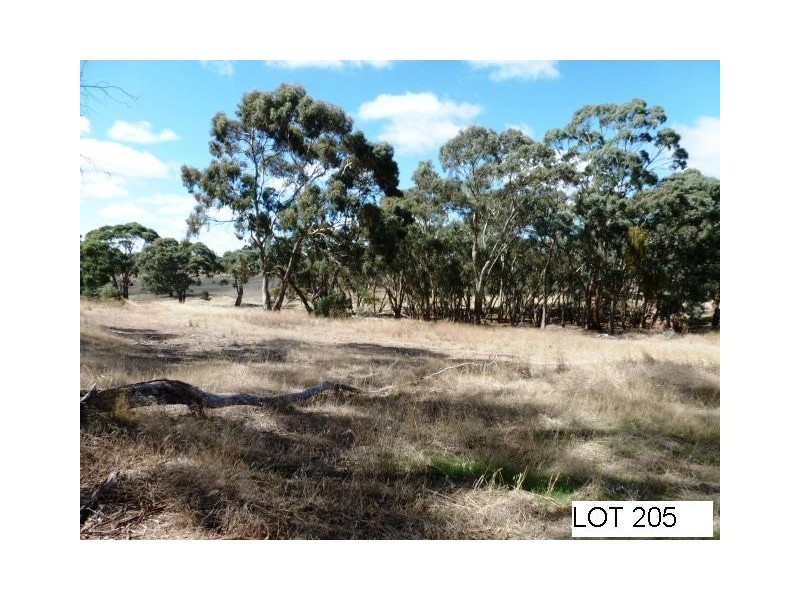 * Lot 206 Scobie Road, Clare SA 5453