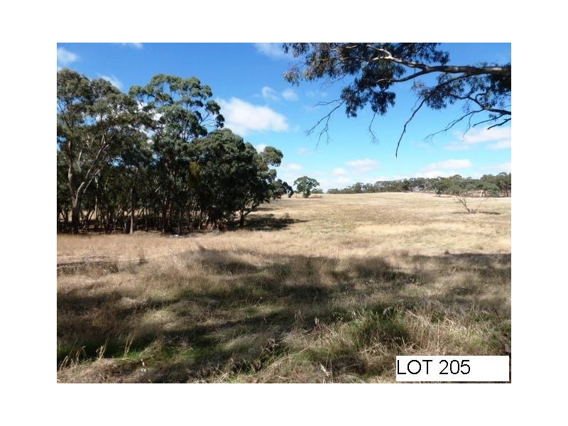 * Lot 206 Scobie Road, Clare SA 5453