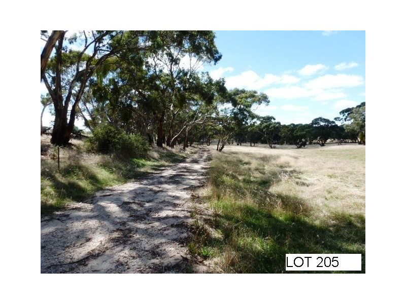 * Lot 206 Scobie Road, Clare SA 5453
