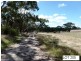 * Lot 206 Scobie Road, Clare SA 5453