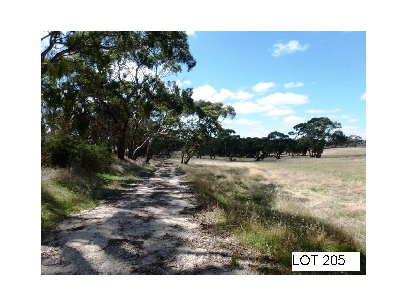 * Lot 206 Scobie Road, Clare SA 5453