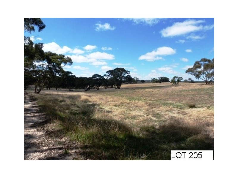 * Lot 206 Scobie Road, Clare SA 5453