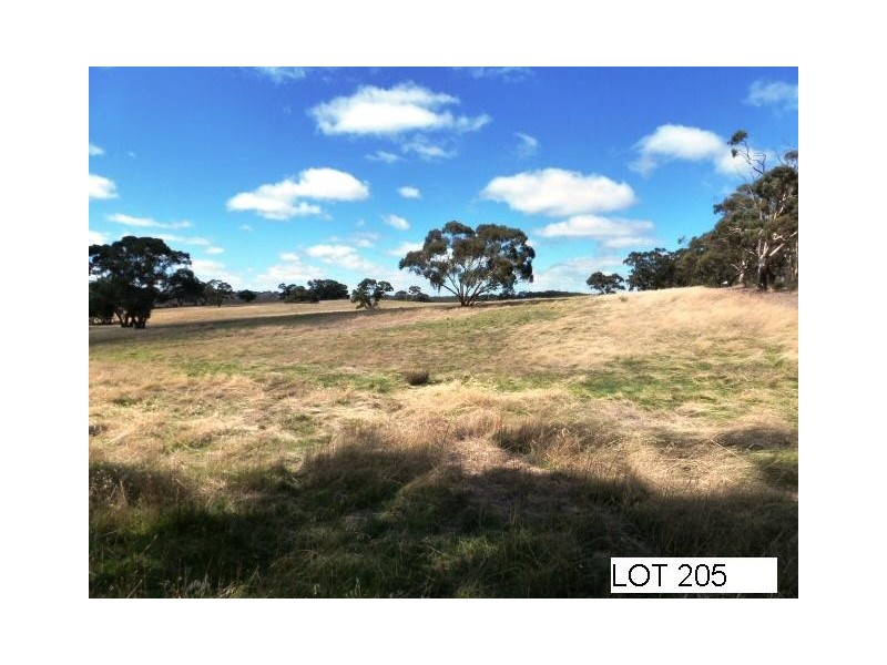 * Lot 206 Scobie Road, Clare SA 5453