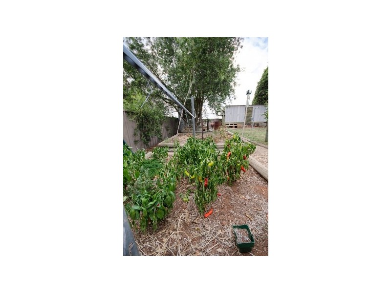 9 South Street, Auburn SA 5451