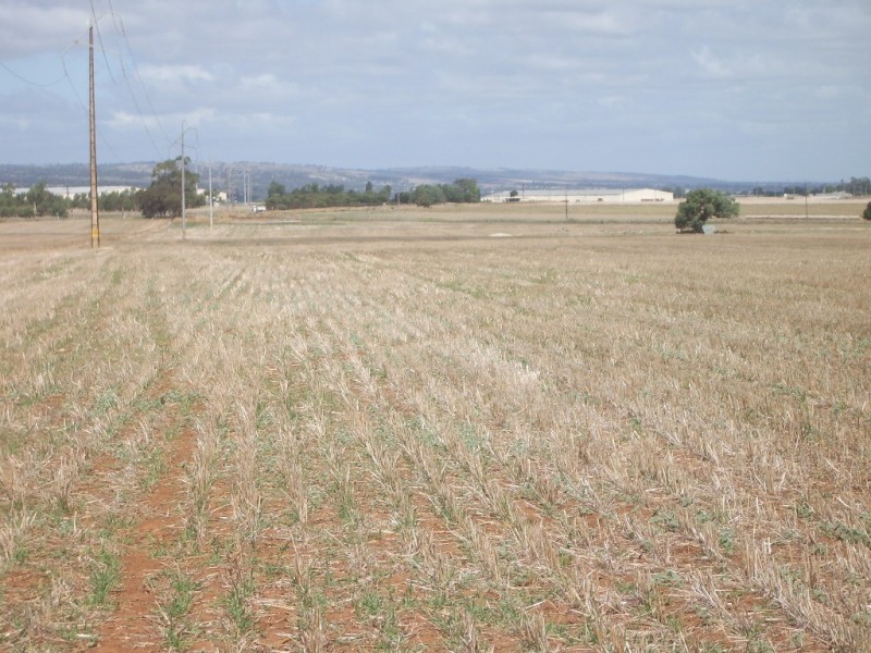 - Flett Road, Roseworthy SA 5371