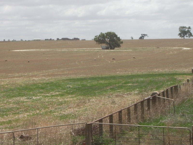 - Flett Road, Roseworthy SA 5371