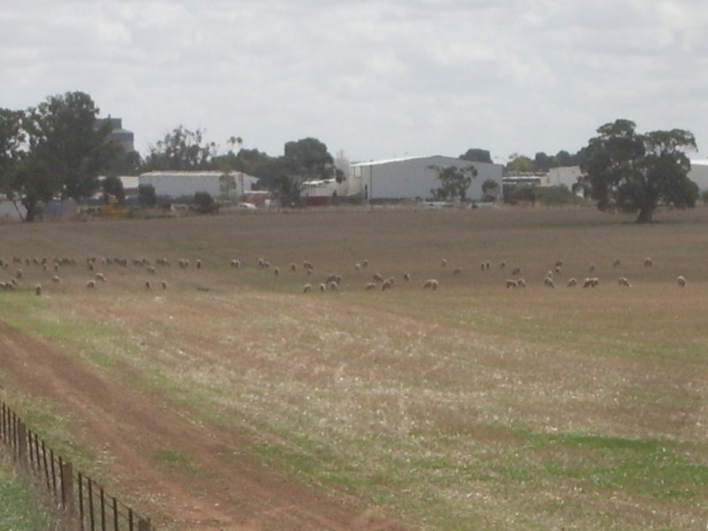 - Flett Road, Roseworthy SA 5371