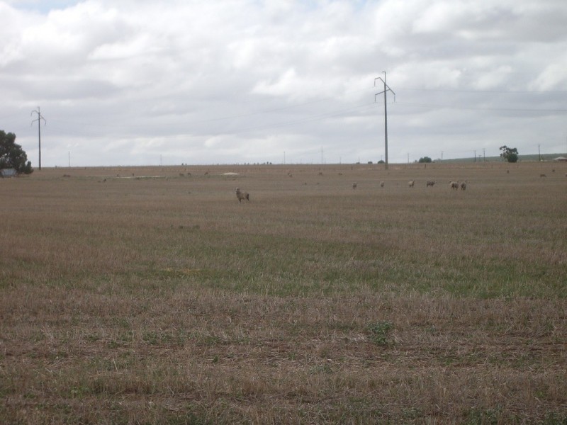 - Flett Road, Roseworthy SA 5371