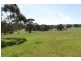 Lot 205 Scobie Road, Clare SA 5453