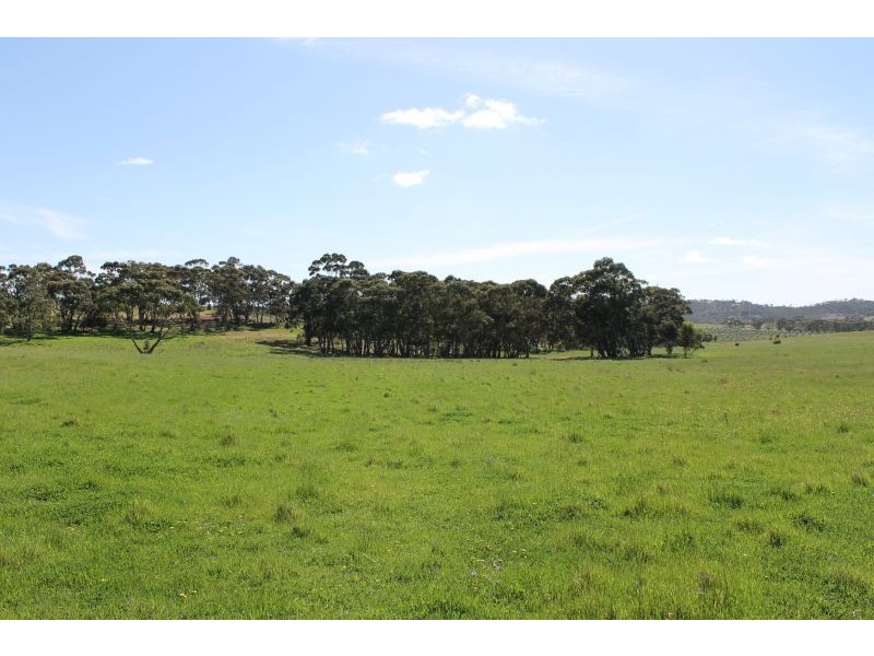 Lot 205 Scobie Road, Clare SA 5453