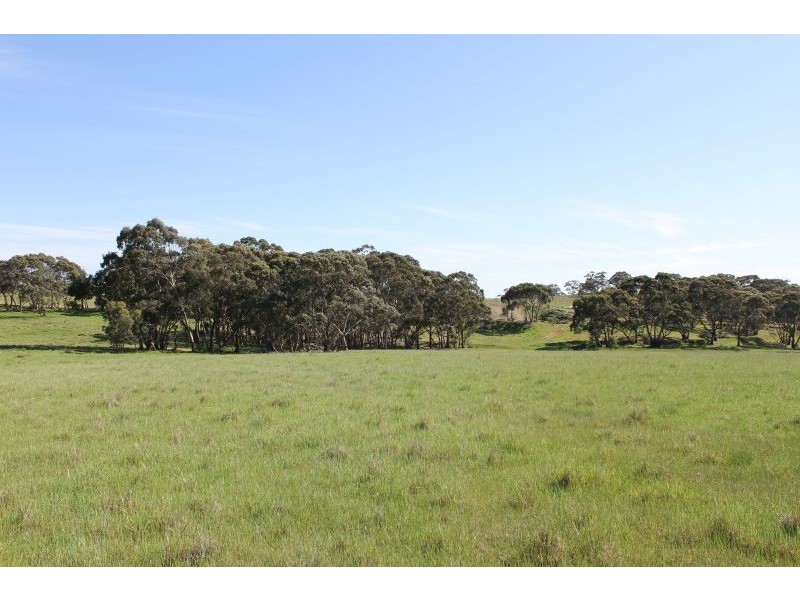 Lot 205 Scobie Road, Clare SA 5453
