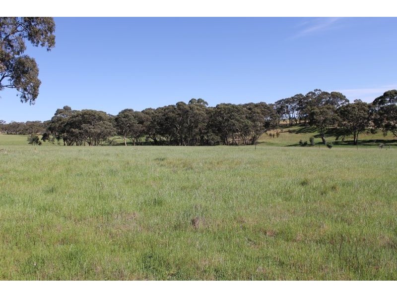 Lot 205 Scobie Road, Clare SA 5453