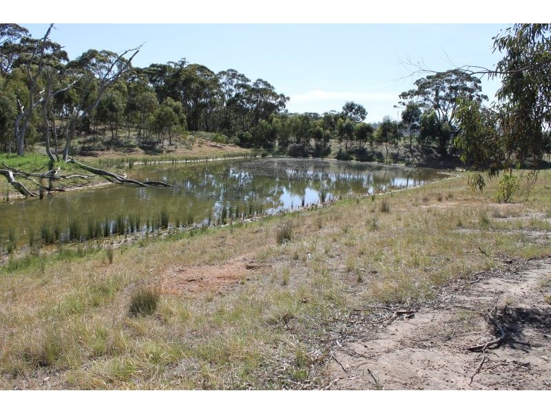 Lot 205 Scobie Road, Clare SA 5453