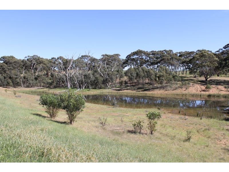 Lot 205 Scobie Road, Clare SA 5453