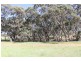 Lot 205 Scobie Road, Clare SA 5453