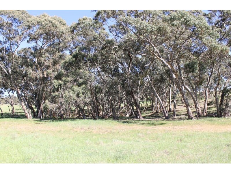 Lot 205 Scobie Road, Clare SA 5453