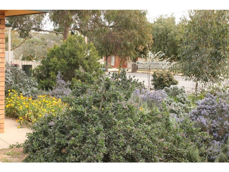 2 Paradise Street, Burra SA 5417