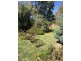 1 Welsh Place, Burra SA 5417