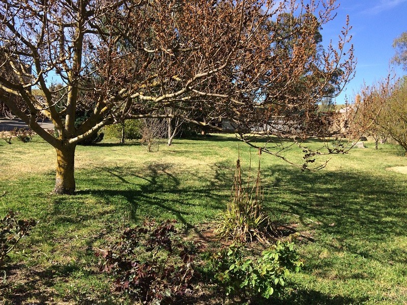 1 Welsh Place, Burra SA 5417