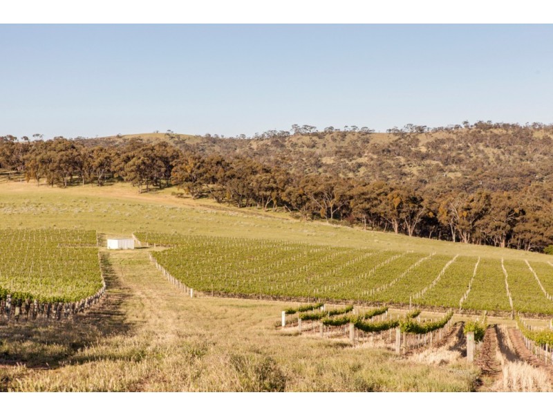 Lot 54 Boconnoc Park Road, Clare SA 5453