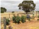 Lot 22 Stavely St, Farrell Flat SA 5416