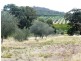 101 St Geroge Terrace, Armagh SA 5453