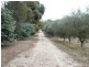 101 St Geroge Terrace, Armagh SA 5453