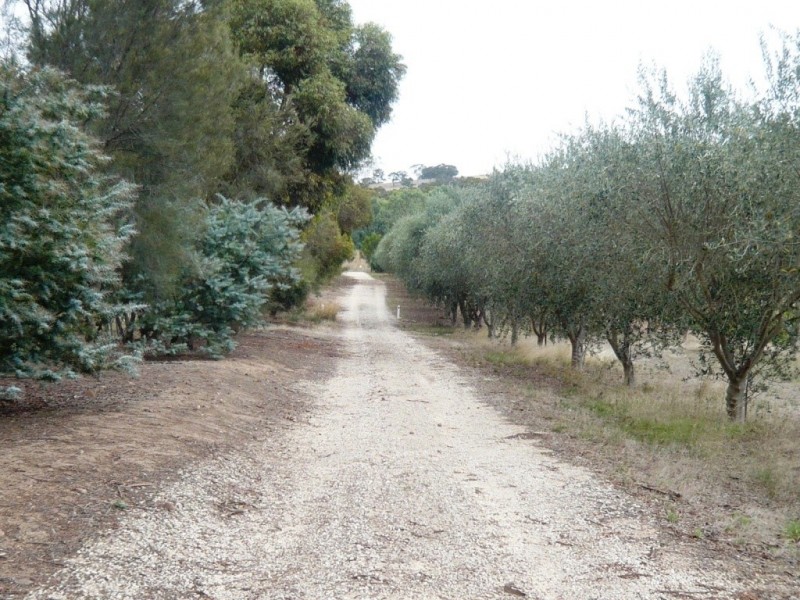 101 St Geroge Terrace, Armagh SA 5453