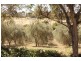101 St Geroge Terrace, Armagh SA 5453