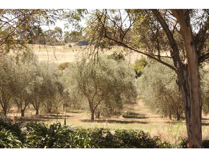 101 St Geroge Terrace, Armagh SA 5453