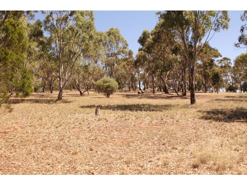 101 St Geroge Terrace, Armagh SA 5453
