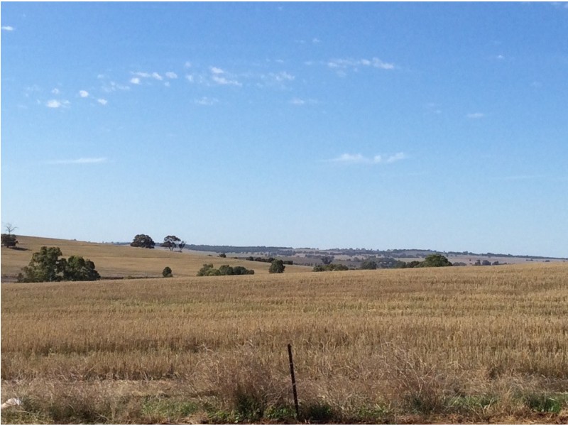 Lot 4 South Street, Auburn SA 5451