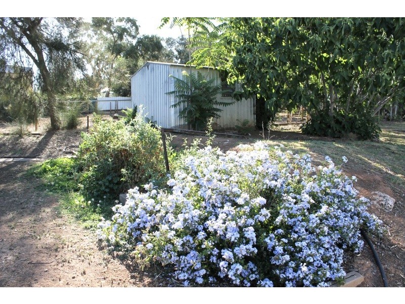 Lot 132  No 29 Horrocks Highway, Watervale SA 5452